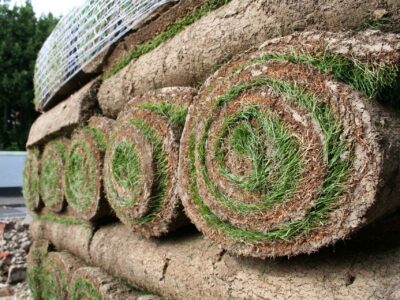 Turf & Grass expert in Haywards Heath